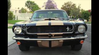 1966 Mustang Hertz Shelby GT350H tribute For Sale By Owner Test Drive amp Photos [upl. by Ssenav360]