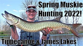 Indiana Kayak Fishing Tippecanoe and James Lake Muskies 5722 [upl. by Aiz475]