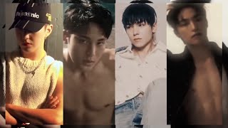 Seventeen TikTok Edits [upl. by Atiuqiram725]