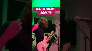 Alice In Chains cover [upl. by Oinotnaesoj]