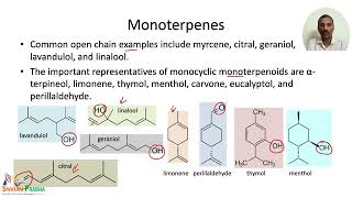 Terpenes Classification and Biosynthetic Pathways [upl. by Clarkson]