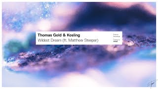 Thomas Gold amp Kosling  Wildest Dream ft Matthew Steeper [upl. by Hedaza]