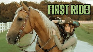 The Cutest HORSES  Equestrian TikTok Compilation 48 [upl. by Nyrroc1]