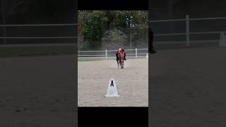 I Love This Horse  Equestrian Edit [upl. by Trebmal]