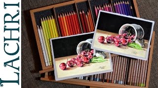 Polychromos Vs Luminance colored pencil review amp demo w Lachri [upl. by Adelice968]