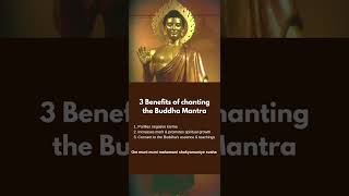 3 Benefits of chanting the Shakyamuni Buddha Mantra [upl. by Mayram]