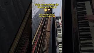 Veja como os Martelos do Piano Funcionam [upl. by Liba]