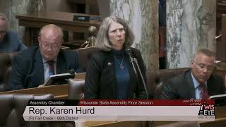 Representative Hurd Speaks on AB 176 Birth Control Access [upl. by Pretrice]