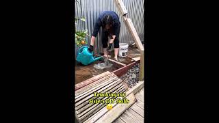 Plant Stand DIY Part 1 diy homeprojects plantstand plantcare [upl. by Tyrus850]