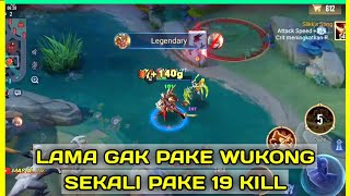 Wukong AOV Gameplay 19 Kill  Arena of Valor [upl. by Groscr]