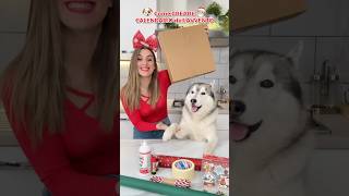 Come CREARE il CALENDARIO dell’AVVENTO🎅🏼🐶🎄 tutorial natale cane dog creative [upl. by Serge480]