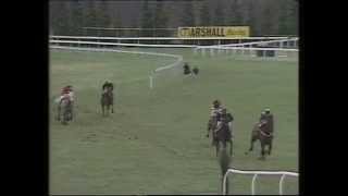 1984 Gainsborough Handicap Chase [upl. by Aroz]