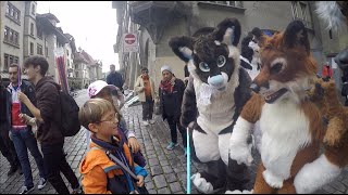 Swissfurs Public Fursuiting Fun in Bern 102022 [upl. by Monro884]