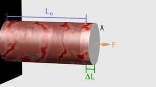 Youngs Modulus [upl. by Noinatrad]
