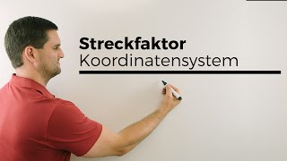 Mit Streckfaktor etwas im Koordinatensystem abbilden  Mathe by Daniel Jung [upl. by Nollie]