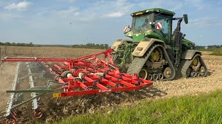 FARM UPDATE 256 Guttler cultivator on demo finish beet drilling preparing soil for Capulet beans [upl. by Alahsal]