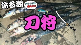 【浜名湖】で初心者がタチウオ釣りたければDAISOの仕掛けで十分だった・・・ [upl. by Adachi]