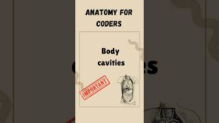 CPC Exam Anatomy Body Cavities frequently asked question shorts [upl. by Adnhoj]