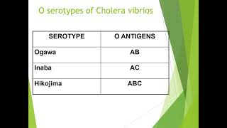 Vibrio Cholerae [upl. by Winnie]