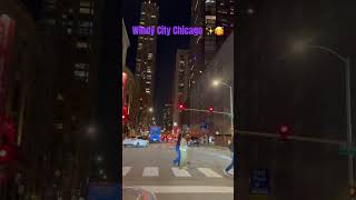 Windy City Chicago 🌆🥰 song 🎶lightshow buildings [upl. by Leanor587]