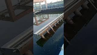 sewage treatment plant Mastilong videosubscriber [upl. by Beauregard346]