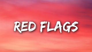 Mimi Webb  Red Flags Lyrics [upl. by Marjorie]