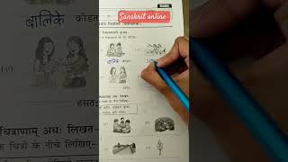 Sanskrit grammar practice for beginners practicewithme exampreperation [upl. by Mame]