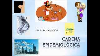 Lección Cadena Epidemiológica [upl. by Nnylidnarb]