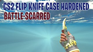 Flip Knife Case Hardened BattleScarred  CS2 Skin Showcase 491 [upl. by Rona263]