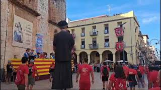 TROBADA DE GEGANTS FESTES QUINQUENNALS DULLDECONA 2024 [upl. by Stefano548]