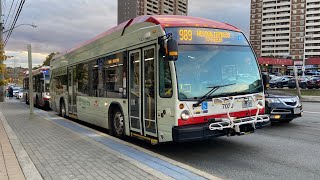 TTC 2023 NovaBus LFS Hybrid 7030 [upl. by Avrenim]