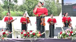 NEALTICAN Mariachi femenil Canción POR AMOR [upl. by Atyekram]