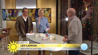 Stort test av LEDlampor – quotDen lampan är ett riktigt bra köpquot  Nyhetsmorgon TV4 [upl. by Yllib997]