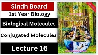 conjugated molecules  biological molecules  class 11 biology Sindh board new [upl. by Waxler]