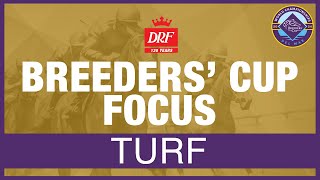 Breeders Cup Focus  Turf 2024 [upl. by Lacombe130]