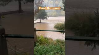 Flood in the Park in Dortmund travel naturaldisaster flood🌧🌊 [upl. by Ahsimin]