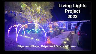 Living Lights Project 2023 preview  Flips and Flops Drips and Drops [upl. by Imaj967]