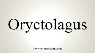 How To Pronounce Oryctolagus [upl. by Shannan938]