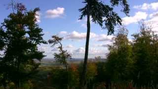 Unterwegs im Harz Von Ilsenburg zum Froschfelsen wandern und die Vielfalt der Natur entdecken [upl. by Wulfe]