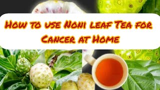 How to use Noni leaf Tea for Cancer at Home [upl. by Moshell]