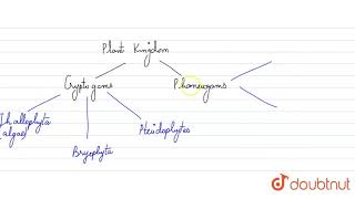 Cryptogamic plants are [upl. by Ettenoj]