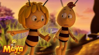 The Search for Delicious Honey  Maya the Bee🐝🍯🐝  FULL COMPILATION [upl. by Navak]