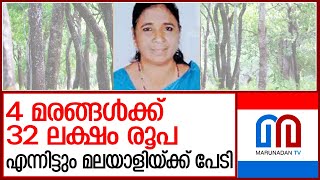 കോടികള്‍ സമ്പാദിക്കാവുന്ന ചന്ദനത്തെ എന്തിന് പേടിക്കുന്നു l sandal tree cultivation [upl. by Learrsi]