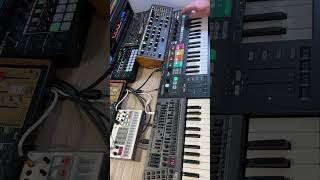 Behringer Model 15  LM1 Drums  PRO800 Lead synthwave [upl. by Nossaj847]