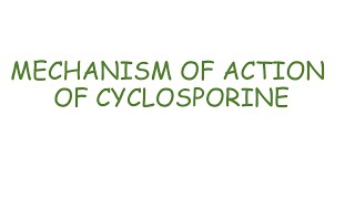 Cyclosporine mechanism of action [upl. by Feliks]