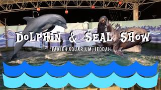 Dolphin amp Seal Show at Fakieh Aquarium Jeddah [upl. by Ree]