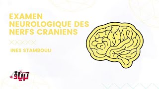 Sémiologie  LEXAMEN DES NERFS CRANIENS partie 1 par INES STAM [upl. by Eydnarb]