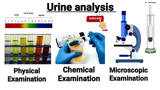 Urine analysis part 1 in hindi  Urine routine test laboratoryclasseswithshail3244 [upl. by Elias]