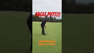 Eagle putt [upl. by Millur]