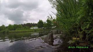 Brombachsee  WOMO Stellplatz aus der Froschperspektive  MotorhomePlace from the frog perspective [upl. by Mcafee]